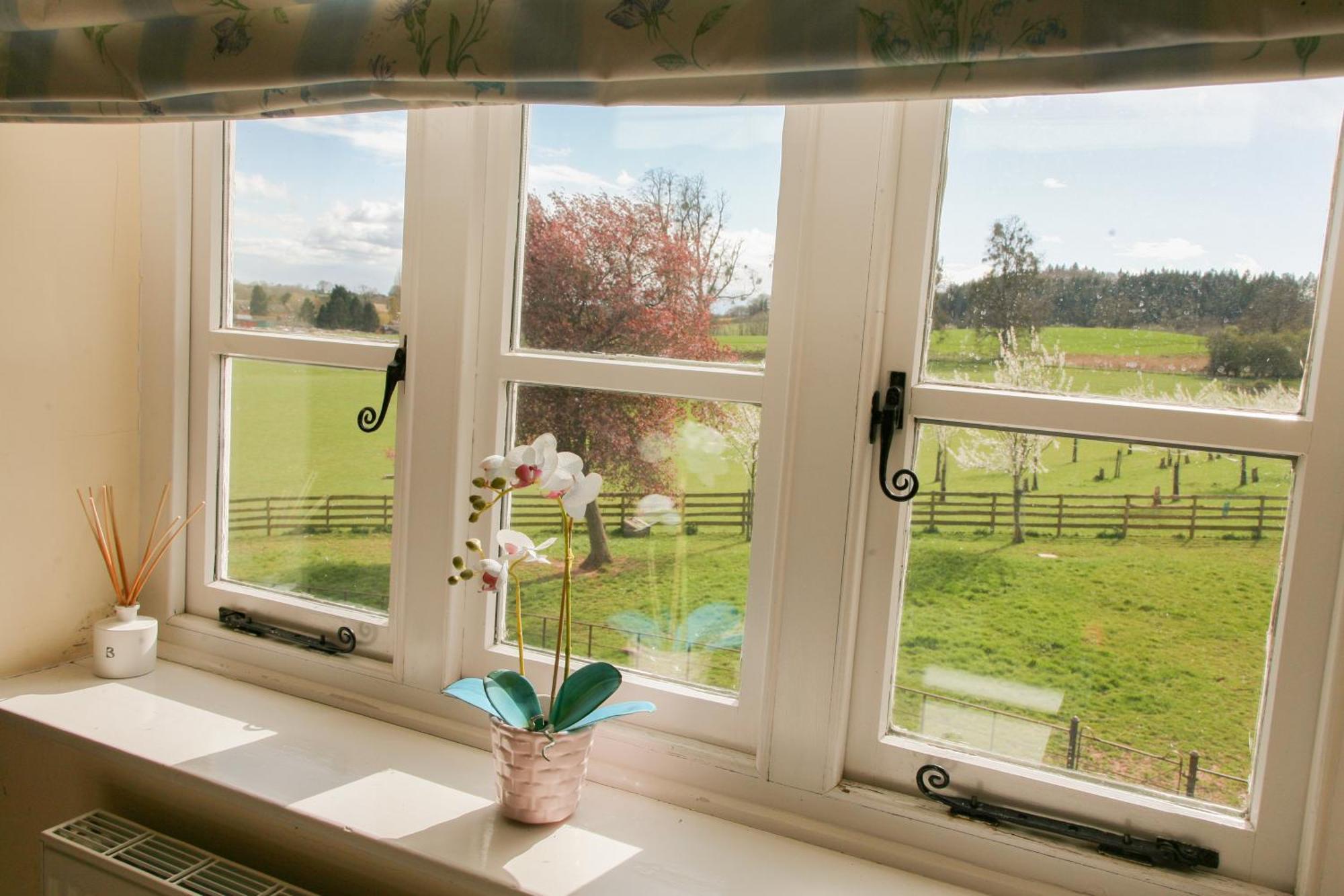 Huntlands Farm Bed & Breakfast ブロムヤード エクステリア 写真